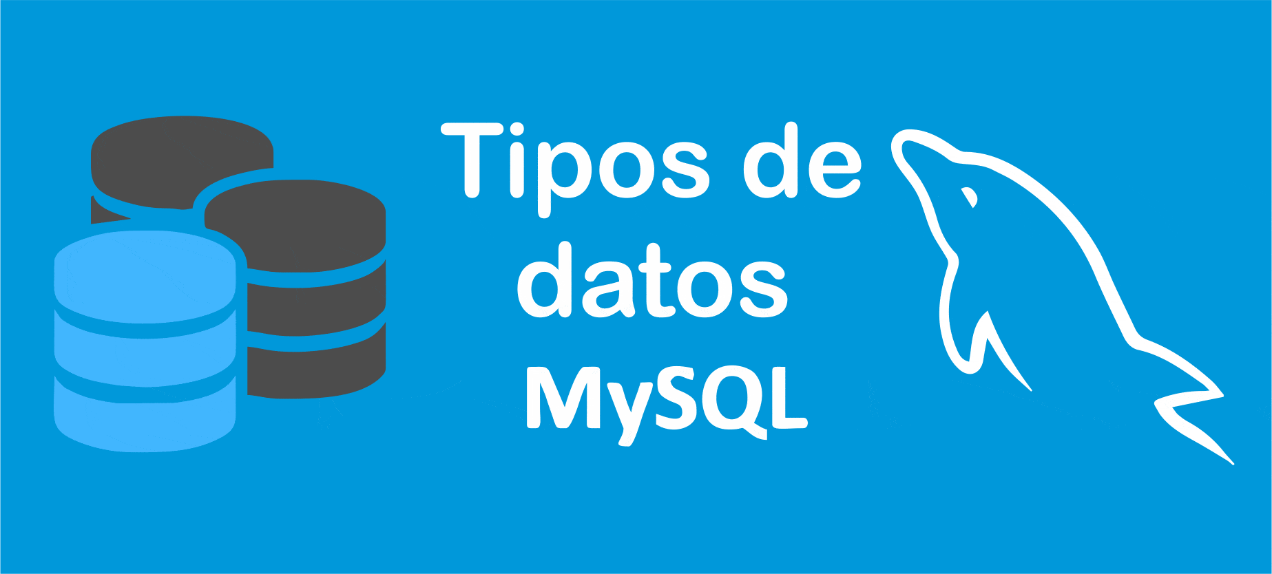 data_type_mysql.gif